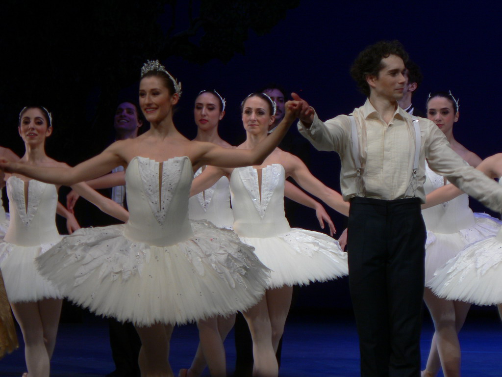 © ElegantClassics (Swan lake)